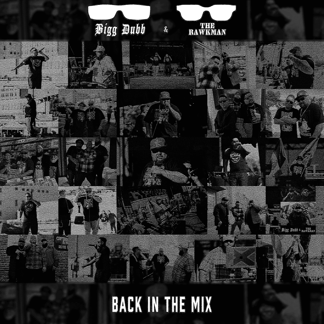 Back in the Mix Artwork.png