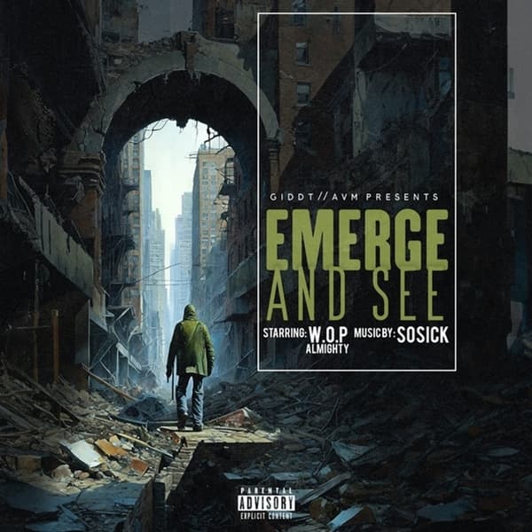 Emerge and See cover.jpg